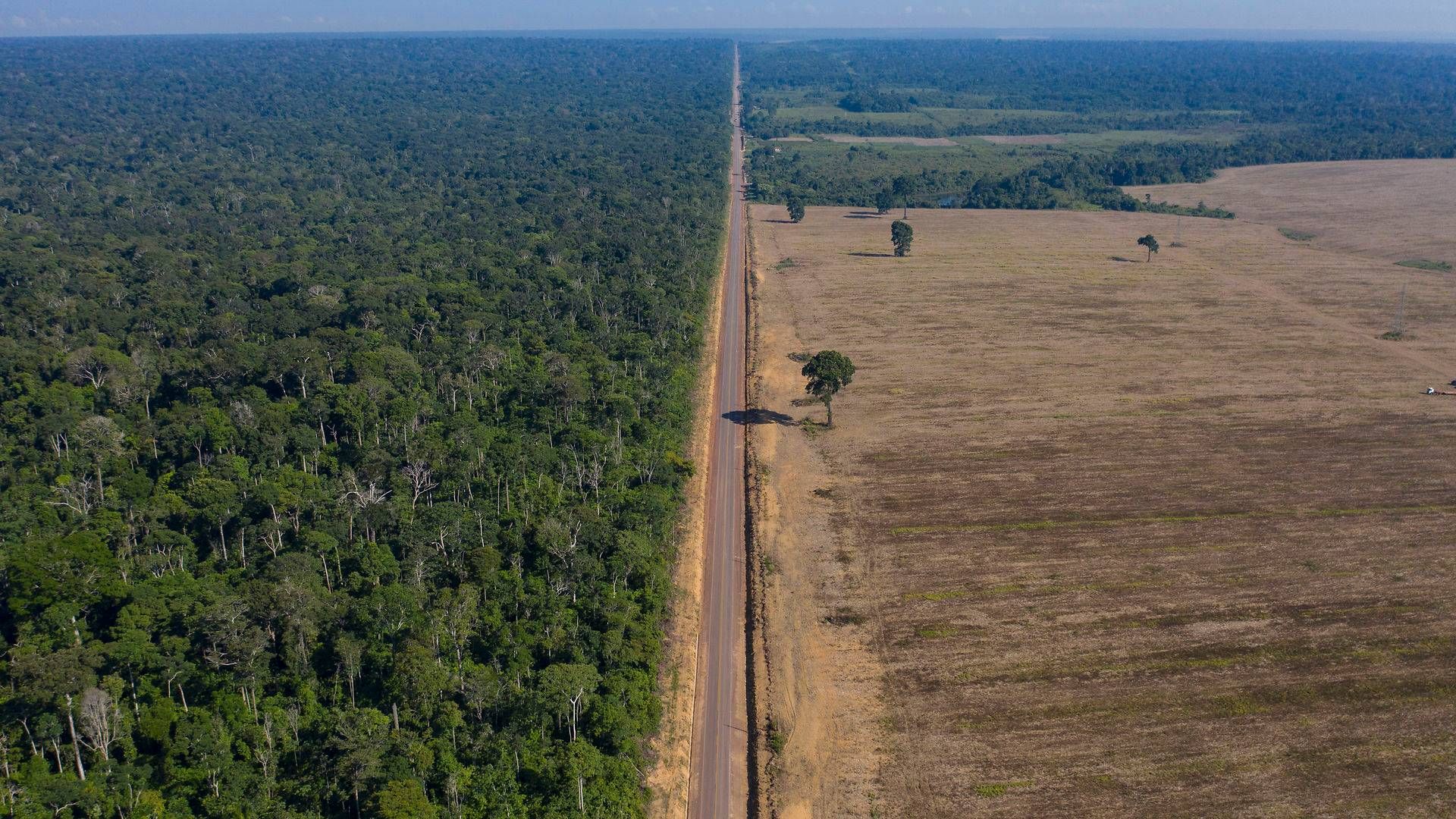 Foto: Leo Correa/AP/Ritzau Scanpix