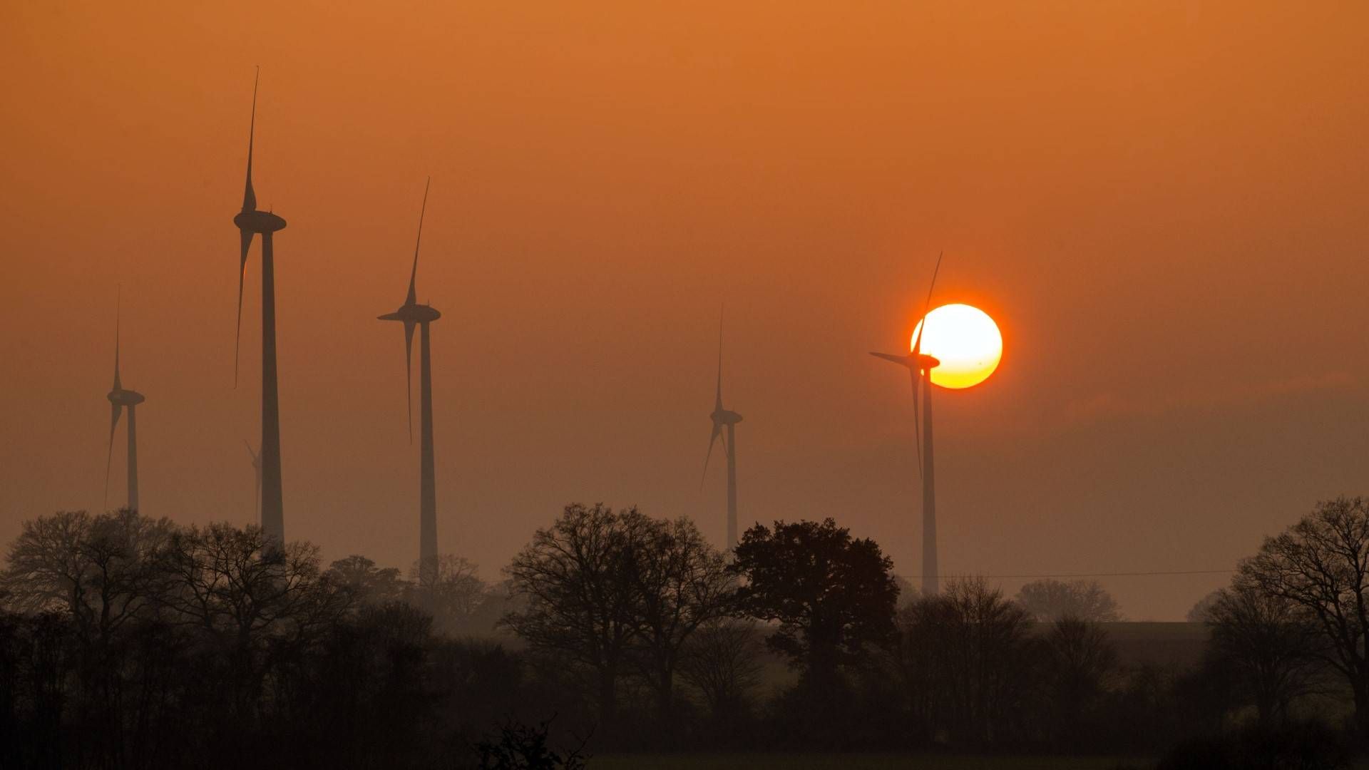 Windparks beim Sonnenuntergang | Foto: dpa Picture Alliance