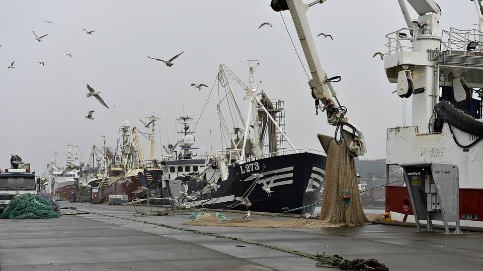 Fiskerne på Thyborøn Havn følger brexit-forhandlinger tæt. | Foto: Ernst van Norde/Ritzau Scanpix