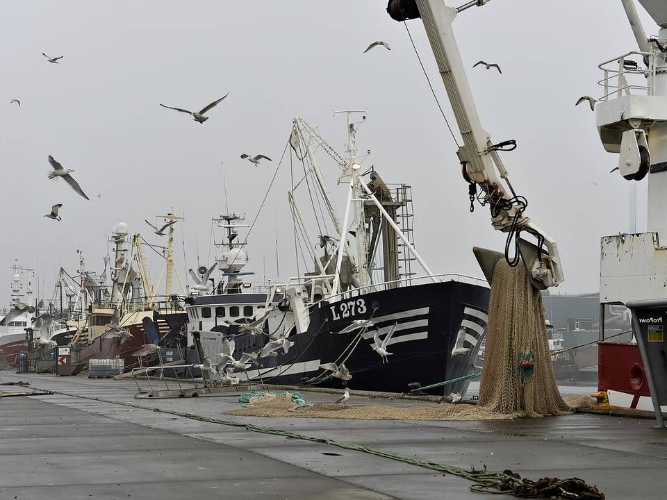 Fiskerne på Thyborøn Havn følger brexit-forhandlinger tæt. | Foto: Ernst van Norde/Ritzau Scanpix