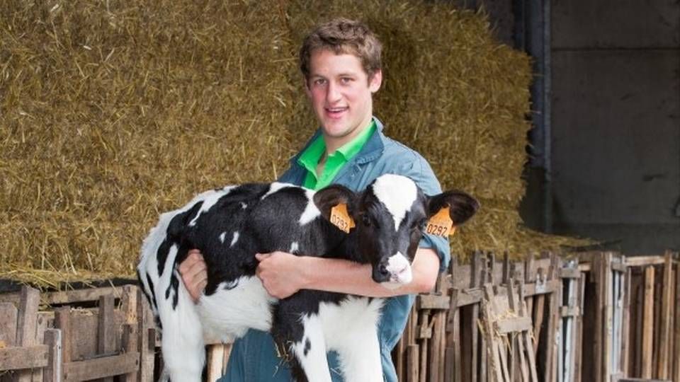 Jannes Maes, formand for Det europæiske råd for unge landmænd i Europa, arbejder med kvæg hos sin bror, der har overtaget deres fars gård i Flanderen i Belgien. | Foto: CEJA