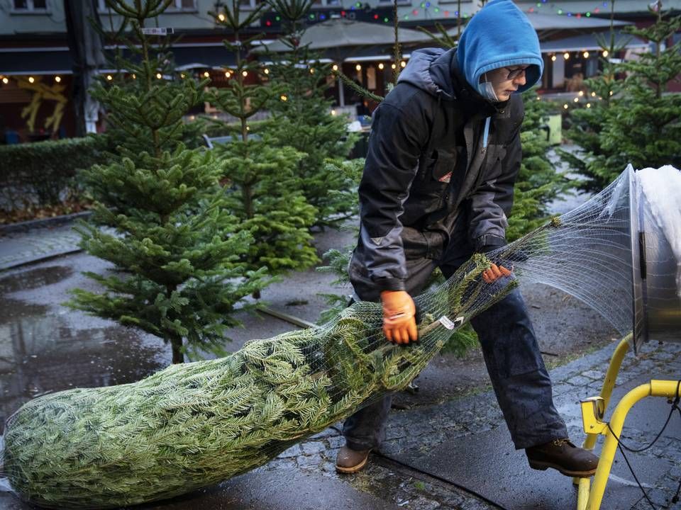 Juletræ, arkivfoto. | Foto: Mads Nissen