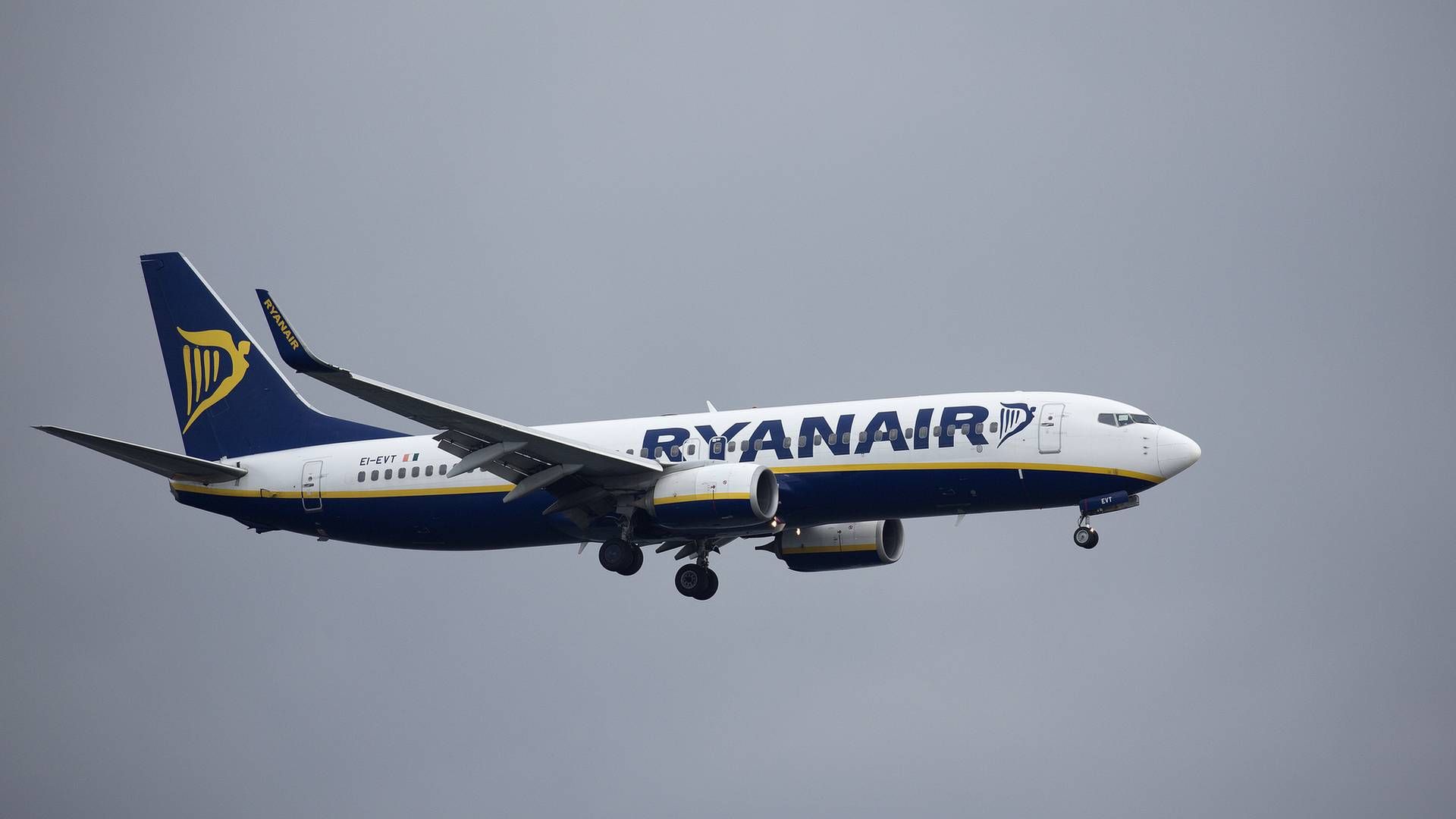 Ryanairs topchef, Micael O'Leary, vil fylde Ryanairs fly med nødlidende konkurrenters kunder. | Foto: Thomas Borberg