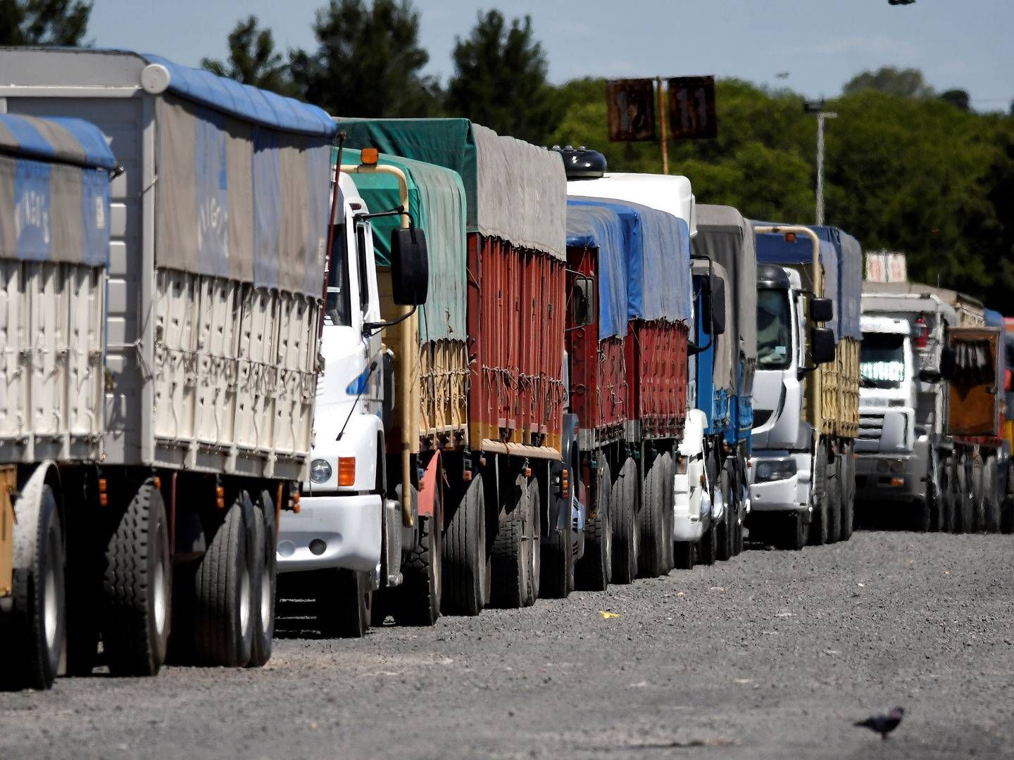 Lastbiler holder i kø ved havnen i Rosario, Argentina. | Foto: Stringer/Reuters/Ritzau Scanpix