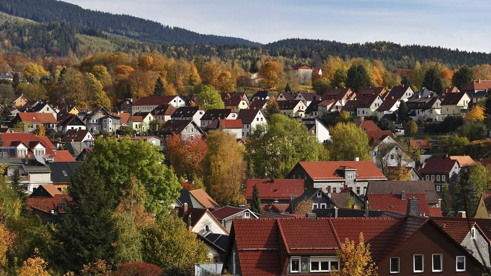 Einfamilenhäuser in Thüringen | Foto: Picture Alliance