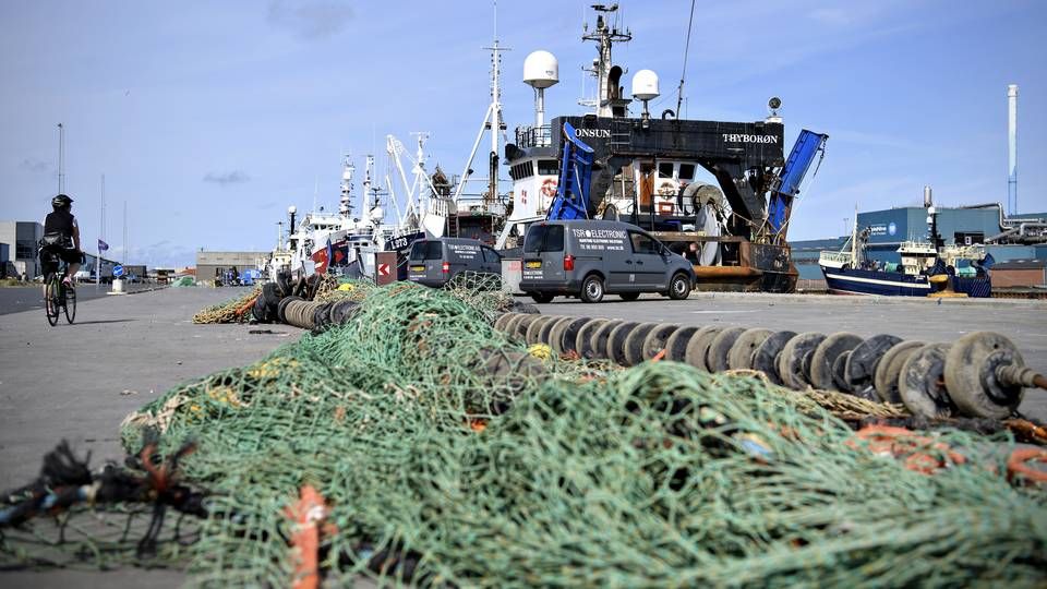 Brexitaftalen redder en række danske fiskefabrikker og industrifiskere fra undergang. Sektoren henter størstedelen af sine fangster i britiske farvande. | Foto: Anita Graversen
