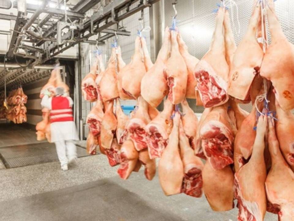 Tysklands største slagterikoncern Tönnies har efter eget udsagn øget antallet af fastansatte med 6000, så virksomheden nu har 12.500 medarbejdere i moderselskabet. | Foto: PR / Tönnies