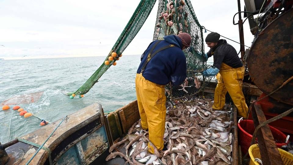 En stor del af Danmarks eksport til Storbritannien er baseret på råvarer fra lande uden for EU. Disse varer pålægges nu britisk told, hvilket blandt andet afskærer en del danske fiskevirksomheder fra det britiske marked. | Foto: GLYN KIRK/AFP / Ritzau Scanpix