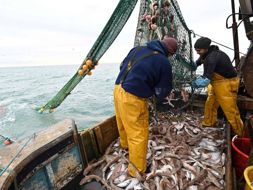 En stor del af Danmarks eksport til Storbritannien er baseret på råvarer fra lande uden for EU. Disse varer pålægges nu britisk told, hvilket blandt andet afskærer en del danske fiskevirksomheder fra det britiske marked. | Foto: GLYN KIRK/AFP / Ritzau Scanpix