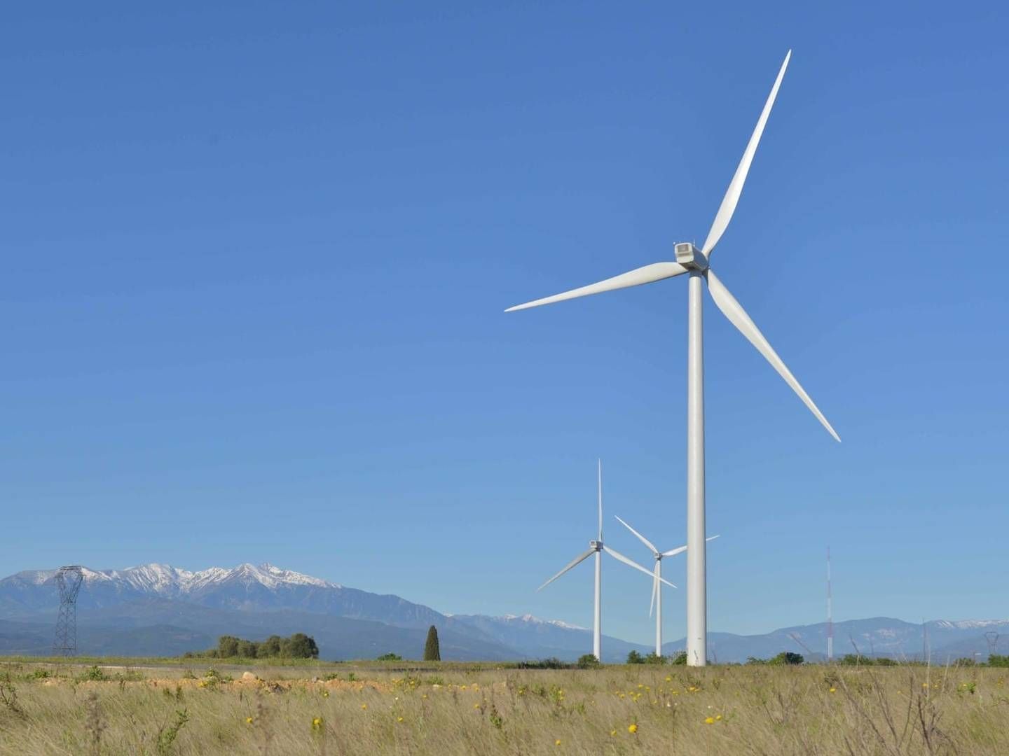 Photo: EDF Renewables
