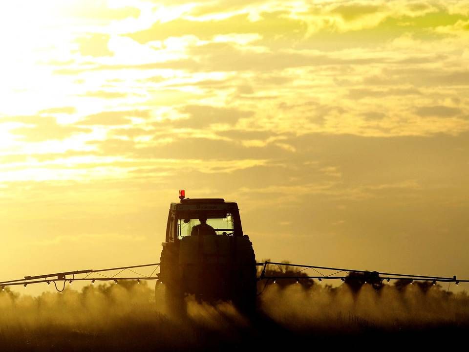 EU's landbrugsreform kan risikere at komme til at koste de danske landmænd dyrt, viser nye beregninger fra L&F. | Foto: Thomas Borberg/Politiken/Ritzau Scanpix