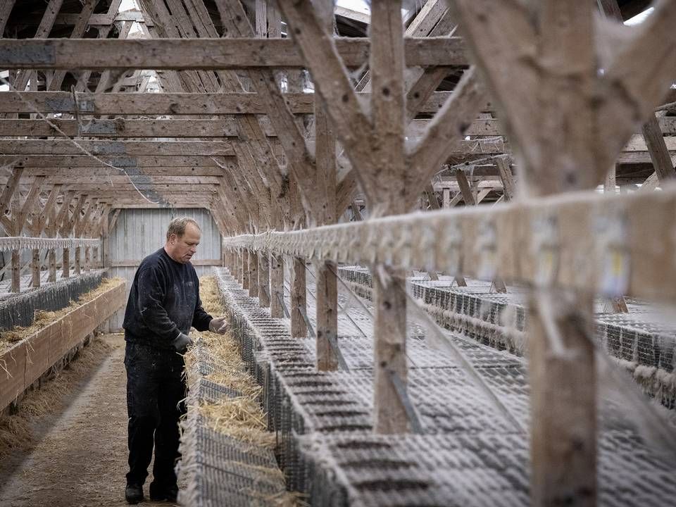 I november og en del af december arbejdede minkavlerne i døgndrift for at aflive alle deres dyr og rengøre farmene. Minkavlerne udførte opgaven for staten, men de fleste har endnu ikke fået løn for arbejdet. | Foto: Casper Dalhoff/IND