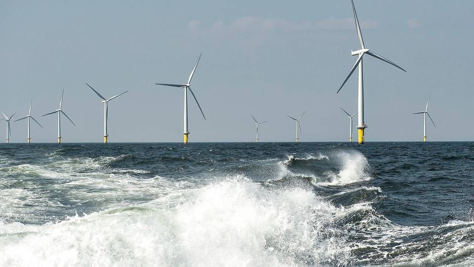 Når Kriegers Flak Havmølleparken står færdig, vil den være den største havvindmøllepark i Danmark. Her ses Horns Rev 2. (Arkivfoto) | Foto: Henning Bagger/Ritzau Scanpix