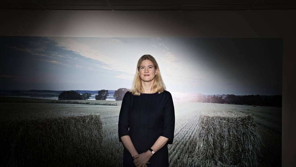 Anne Lawaetz Arhnung, adm. direktør i L&F. Foto Gregers Tycho. | Foto: Jacob Ehrbahn/Politiken