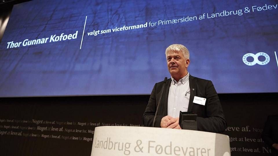 Viceformand i Landbrug & Fødevarer, Thor Gunnar Kofoed. | Foto: Landbrug & Fødevarer