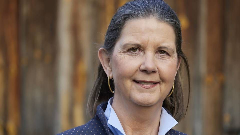 Die Umweltbank hat Heike Schmitz zum 1. Februar zur Generalbevollmächtigten und Teil der Geschäftsleitung ernannt. | Foto: Umweltbank