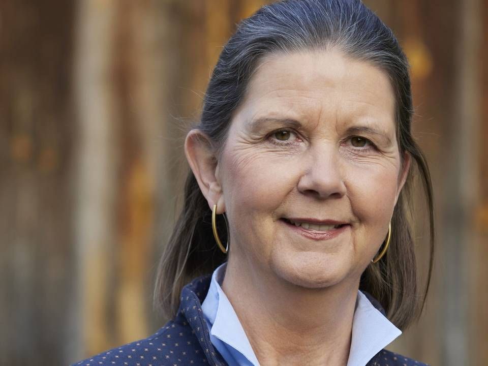 Die Umweltbank hat Heike Schmitz zum 1. Februar zur Generalbevollmächtigten und Teil der Geschäftsleitung ernannt. | Foto: Umweltbank