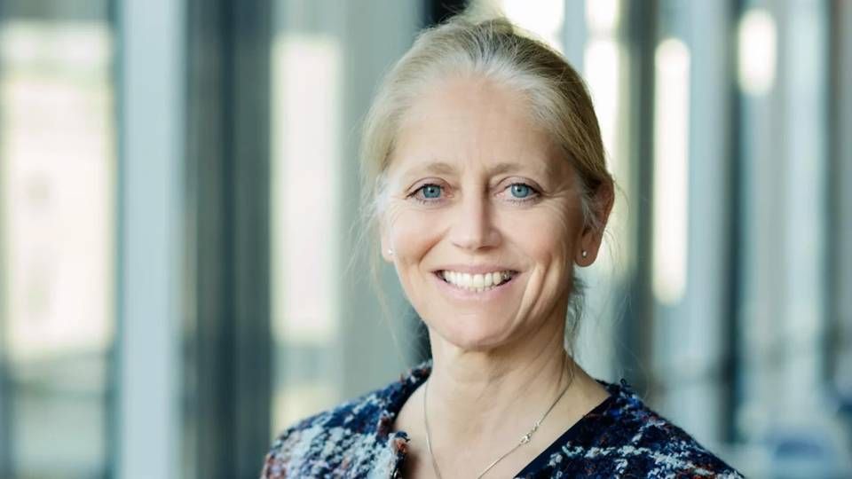 Stine Lise Hattestad Bratsberg er partner i KPMG, og leder for KPMGs bærekraftsarbeid. | Foto: KPMG