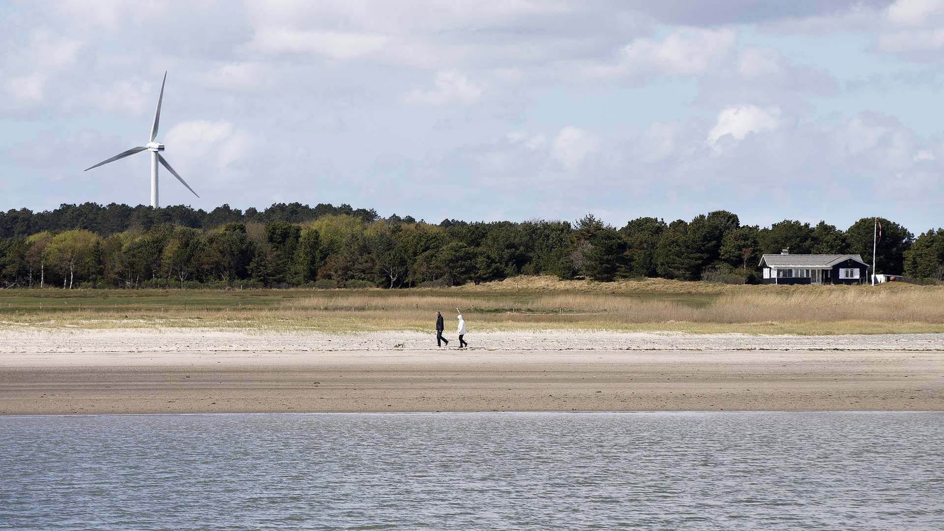 "Der er brug for at ruske op i sommerhusmarkedet og skabe et fællesskab, hvor ejerne af de mange skønne, sommerhusperler i Danmark, kan dele deres huse med ligesindede på en tryg, let og moderne måde," lyder det fra medstifter af Gaest.com og nu Landfolk. | Foto: Finn Frandsen