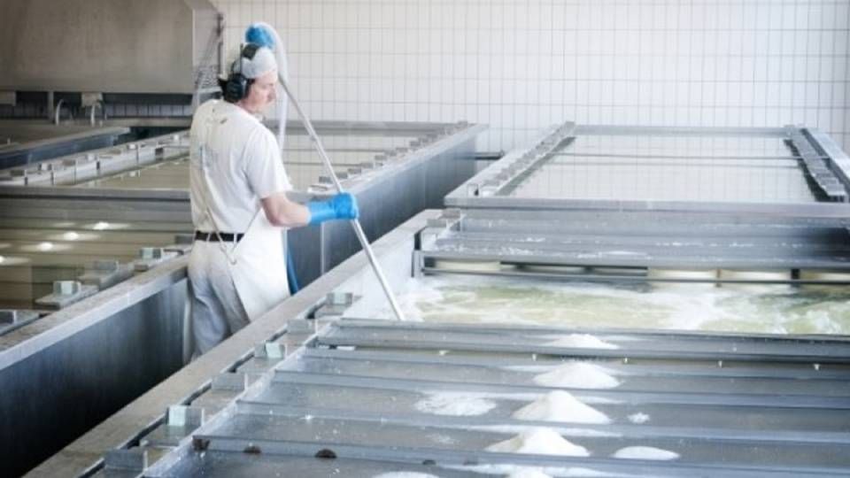 Osteproduktionen kører i højeste gear hos St. Clemens, alligevel er efterspørgslen højere, end mejeriet kan nå at producere til. | Foto: PR