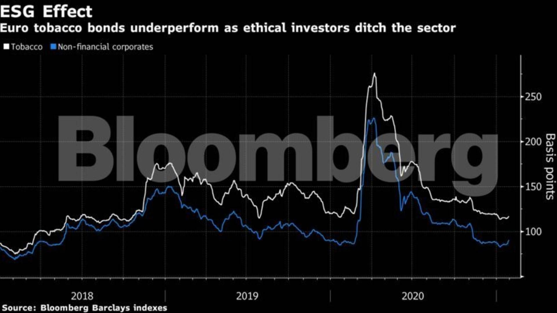 Photo: PR / BLOOMBERG