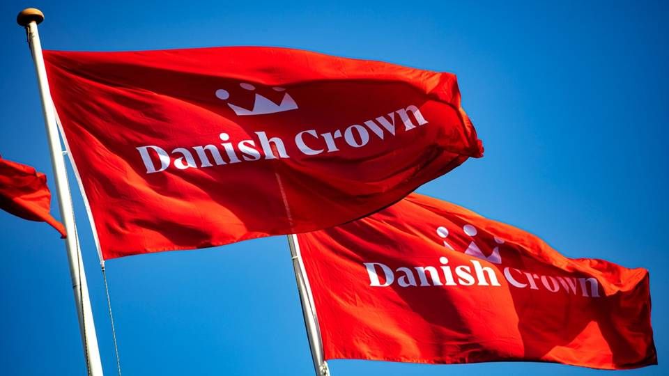 Danish Crown har nærmest været oversvømmet af grise til slagtning, men nu kan kvoterne afvikles. | Foto: PR