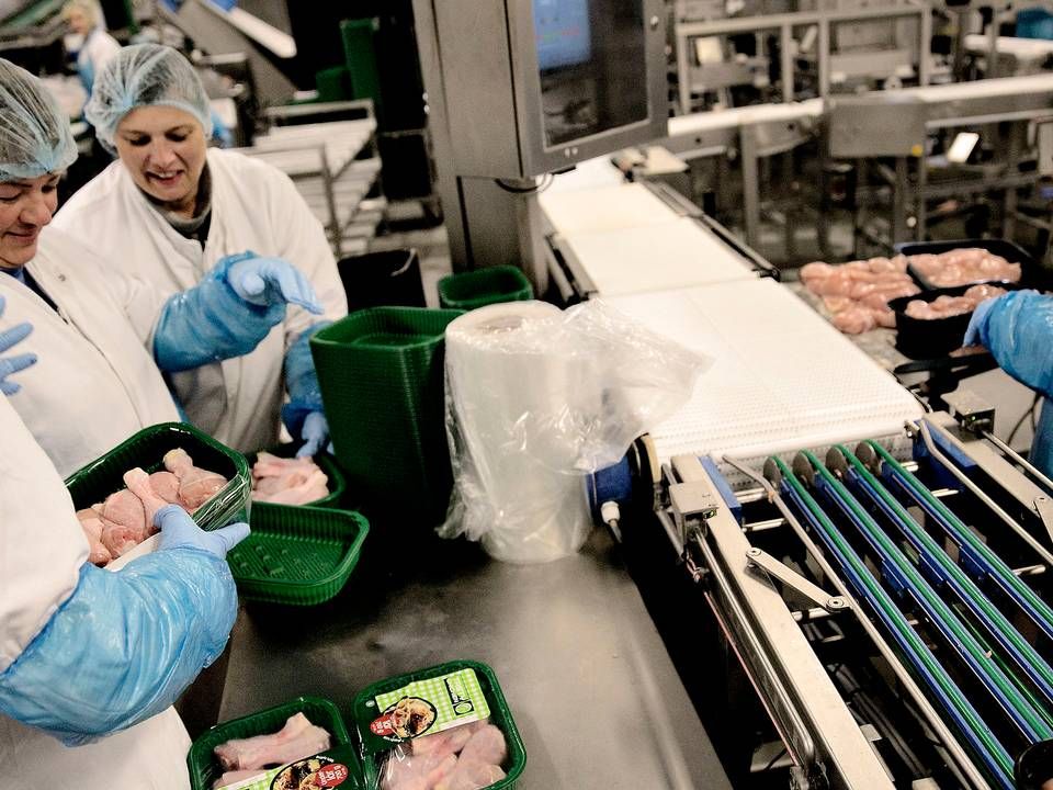 Medarbejdere på Danpos kyllingeslagteri i Aars. Danpos ejere Scandi Standard forventer kunne sende bakker med plantebaserede produkter ud i 2021. | Foto: Joachim Adrian/Politiken/Ritzau Scanpix