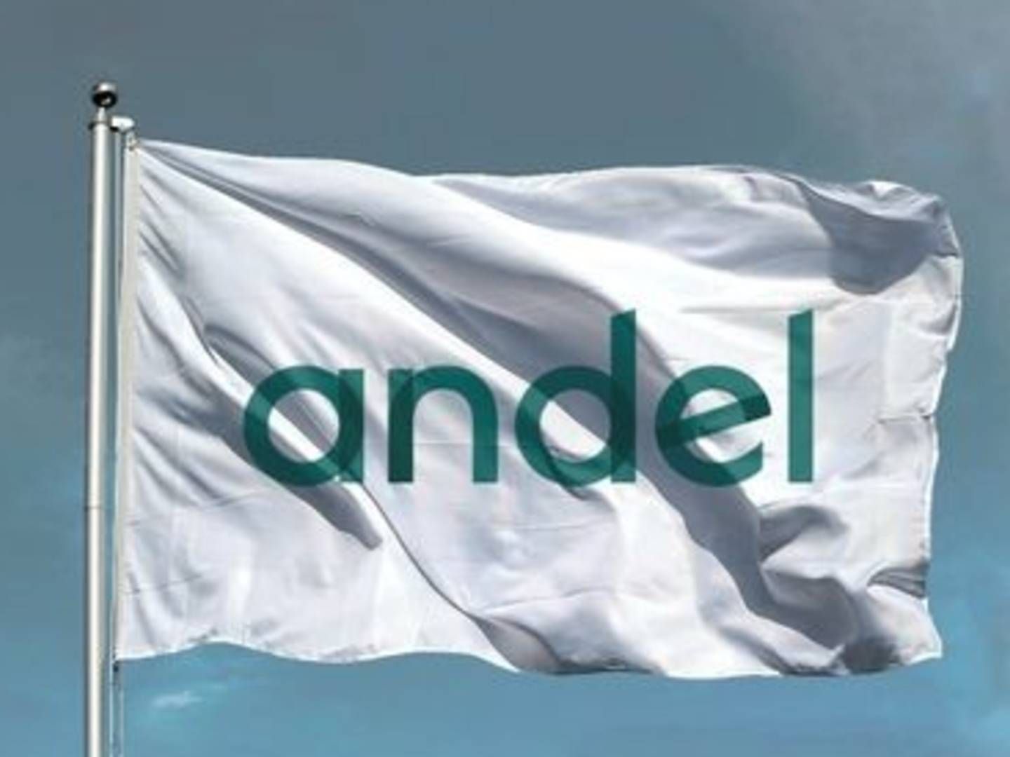 Andel og Nrgi har købt de øvrige ejere ud af elhandelsselskabet Energi Danmark. | Foto: PR Andel/Seas Nve