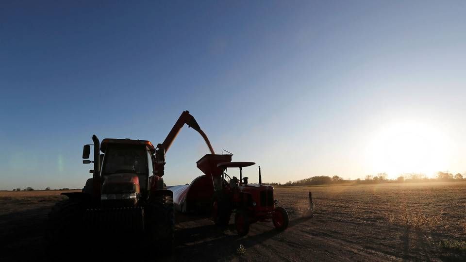 Foto: Agustin Marcarian/Reuters/Ritzau Scanpix