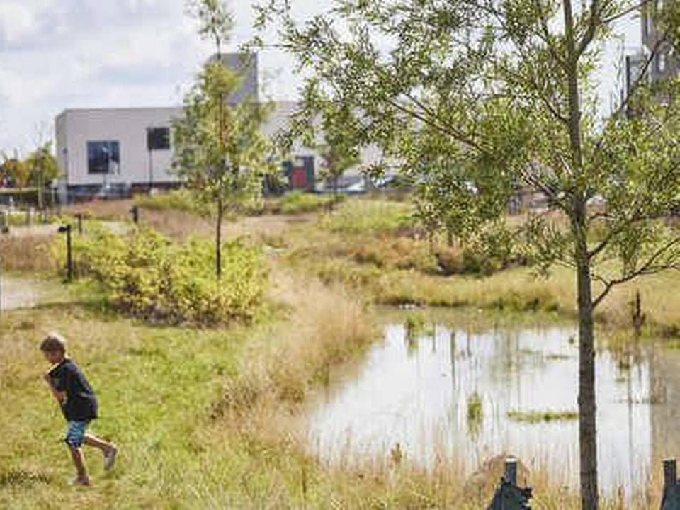 De første 1000 beboere er flyttet ind i Nærheden i Hedehusene mellem Roskilde og Høje Taastrup. | Foto: Nærheden P/S, Claus Bjørn Larsen