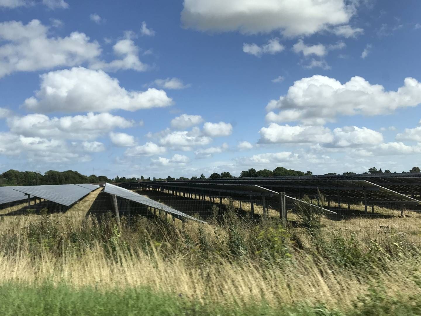 Hofor vil gerne bygge mere vedvarende energi på Lolland. Med en ny markedsmodel for lokal nedregulering bliver det nu muligt. Her ses forsyningsselskabets solcellepark på 180 MW ved Sorø på Vestsjælland. | Foto: PR Hofor