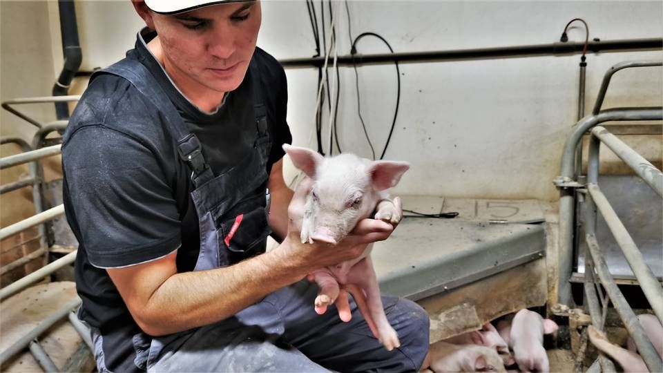 Kim Kjær Knudsen trådte efter sin uddannelse som agrarøkonom ind i landbruget i 2008. Siden er Kjær Knudsen blevet en af de største svineproducenter i Danmark. | Foto: Peter Høyer/Watch Medier