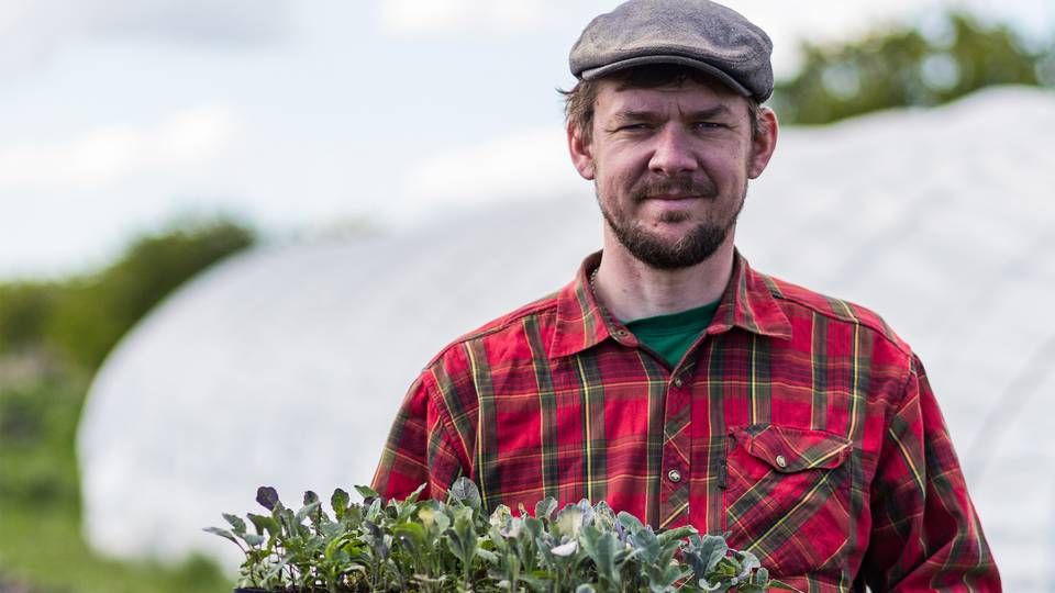 Marc Seerup Hansen har siden 2014 drevet sit økologiske gartneri Seerupgaard på Amager. | Foto: PR / Økoskabet