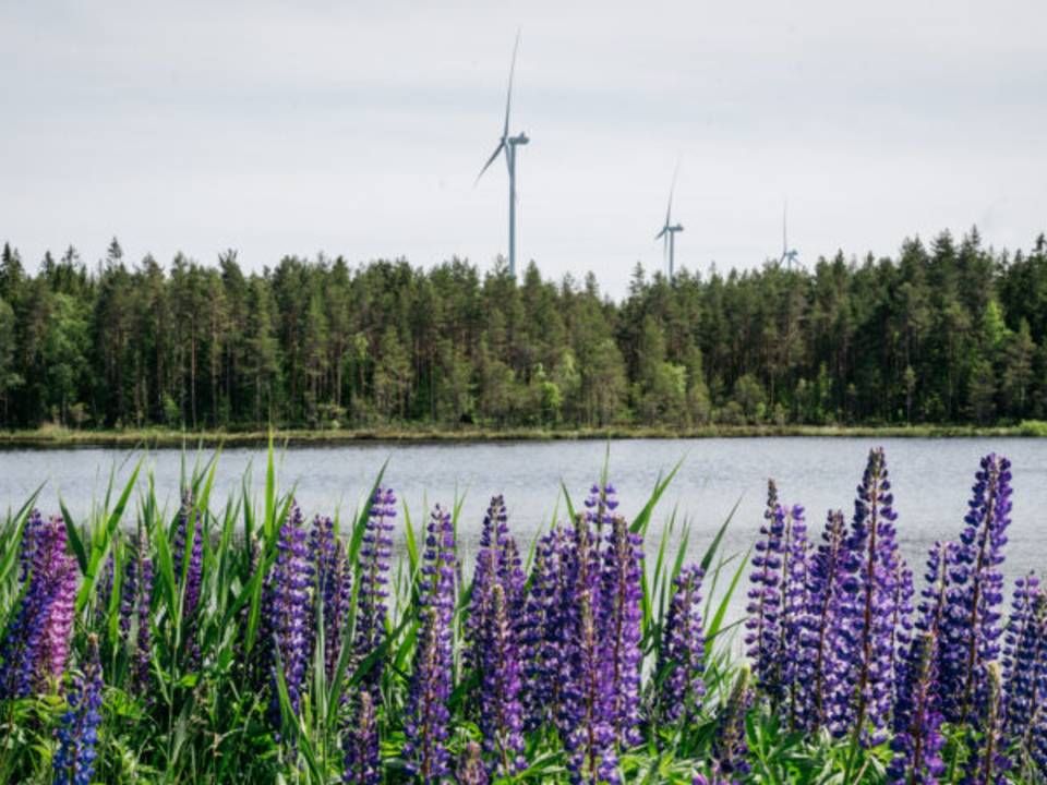 Foto: Cloudberry Clean Energy