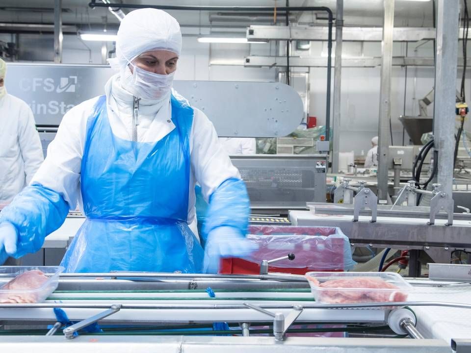 Forholdene for de ansatte på de tyske slagterier har været omdiskuteret de seneste år. | Foto: PR
