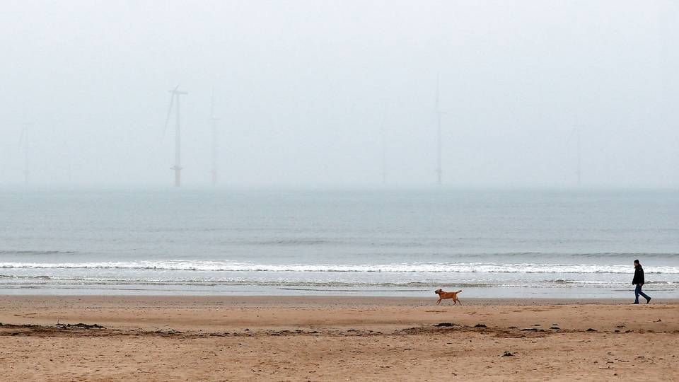At last, the fog surround Vineyard Wind seems to clear. This photo shows British offshore wind farm Teesside, however. | Photo: Lee Smith/Reuters/Ritzau Scanpix