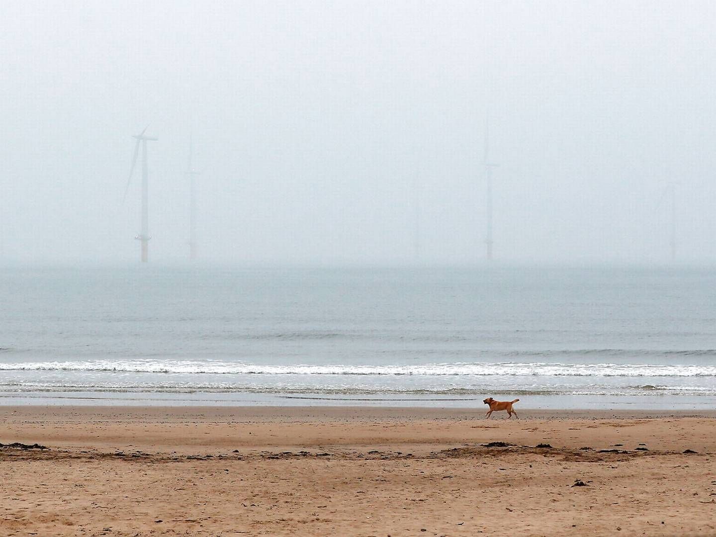 Langt om længe er tågen ved at lette for Vineyard Wind. Billedet her er dog den britiske havmøllepark Teesside. | Foto: Lee Smith/Reuters/Ritzau Scanpix