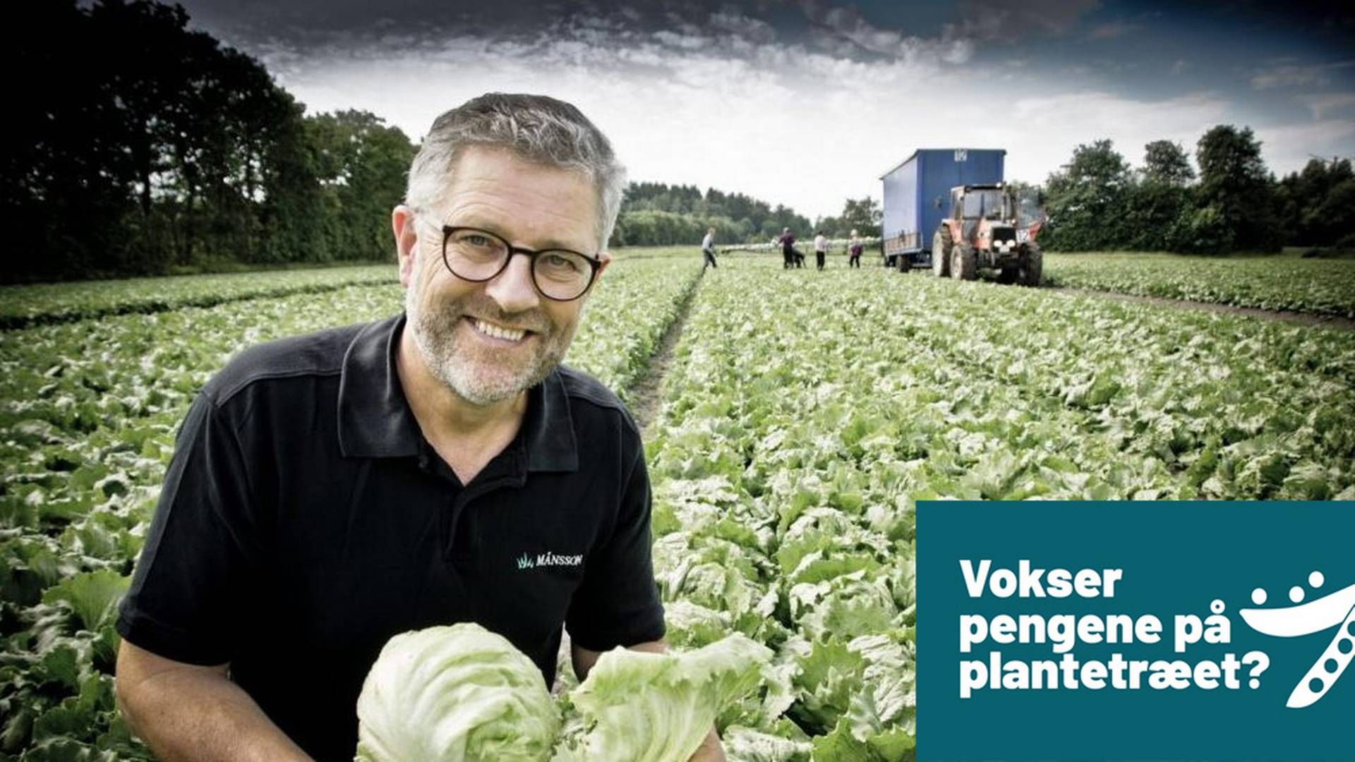 Salatproducenten Axel Månsson | Foto: PR/Månssons - Grafik: Watch Medier/Jan Bjarke Mindegaard