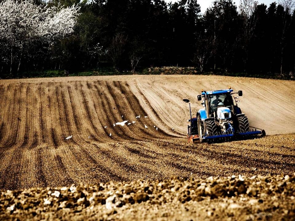 Foto: Lærke Posselt/Ritzau Scanpix