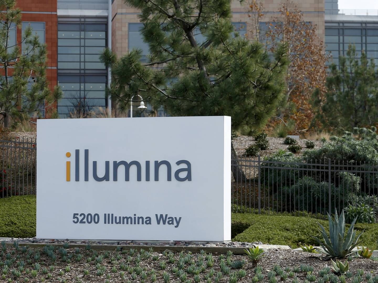 Baillie Gifford has a big stake in gene sequencing company Illumina. The share price is down by 42% year-to-date. | Photo: Mike Blake/REUTERS / X00030