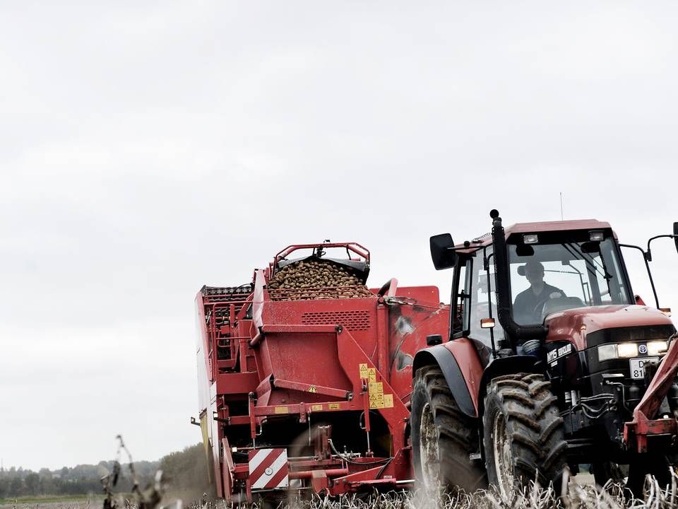 Foto: Gorm Branderup/Jyllands-Posten/Ritzau Scanpix