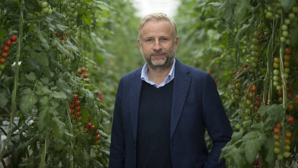 Adm. direktør i Alfred Peddersen & Søn, Mads Pedersen. | Foto: Benjamin Nørskov