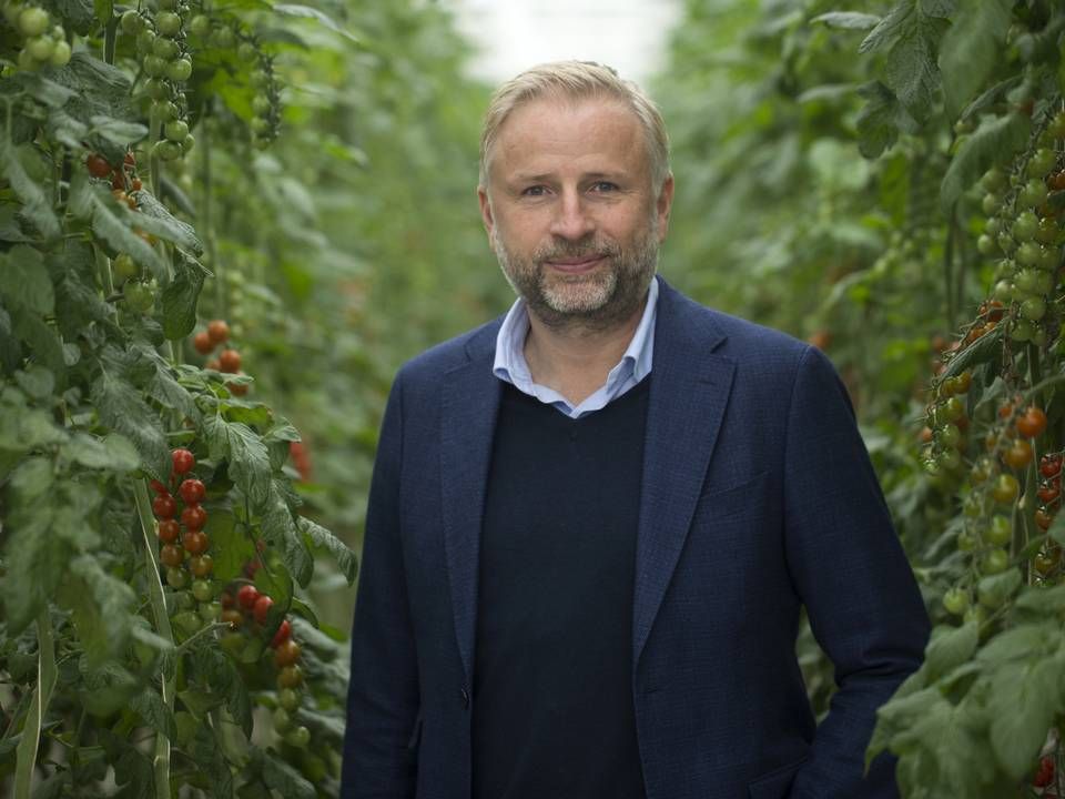 Adm. direktør i Alfred Peddersen & Søn, Mads Pedersen. | Foto: Benjamin Nørskov