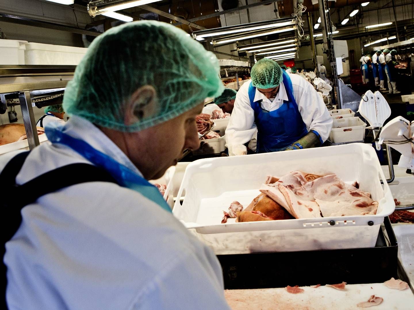 tyske slagteriarbejder forlanger mere i løn. IIfølge fagforening ligger et stort antal kun på lige godt mindstelønnen på 89 kroner i timen. | Foto: Janus Engel