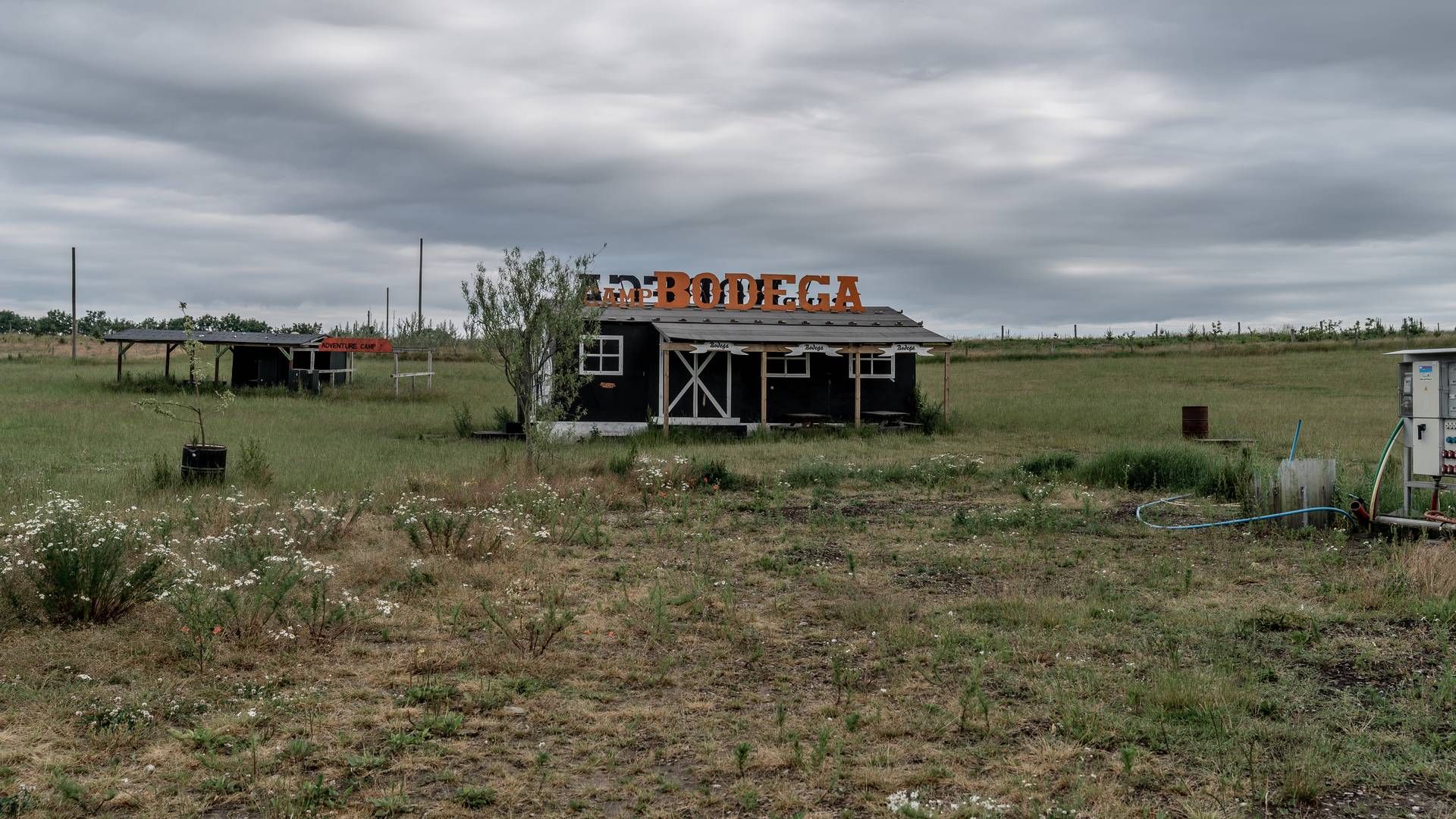 Der bliver igen i år tomt på landets festivalområder. | Foto: Aleksander Klug