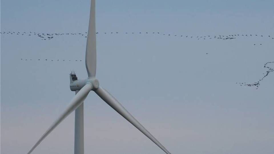 Jyske Bank må ikke eje vindmøller, som skal kompensere for medarbejdernes CO2-forbrug. | Foto: Vattenfall