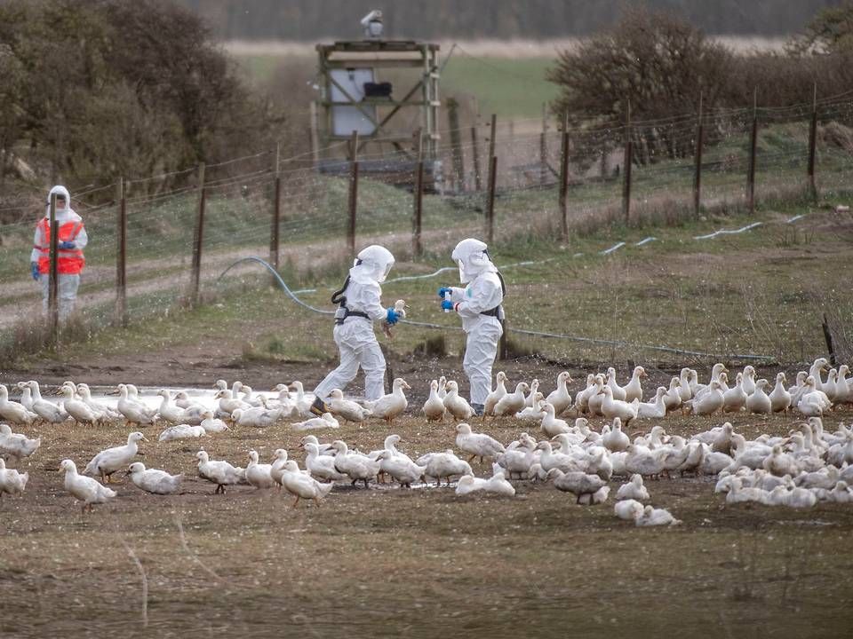 Foto: Morten Stricker/Jysk Fynske Medier/Ritzau Scanpix