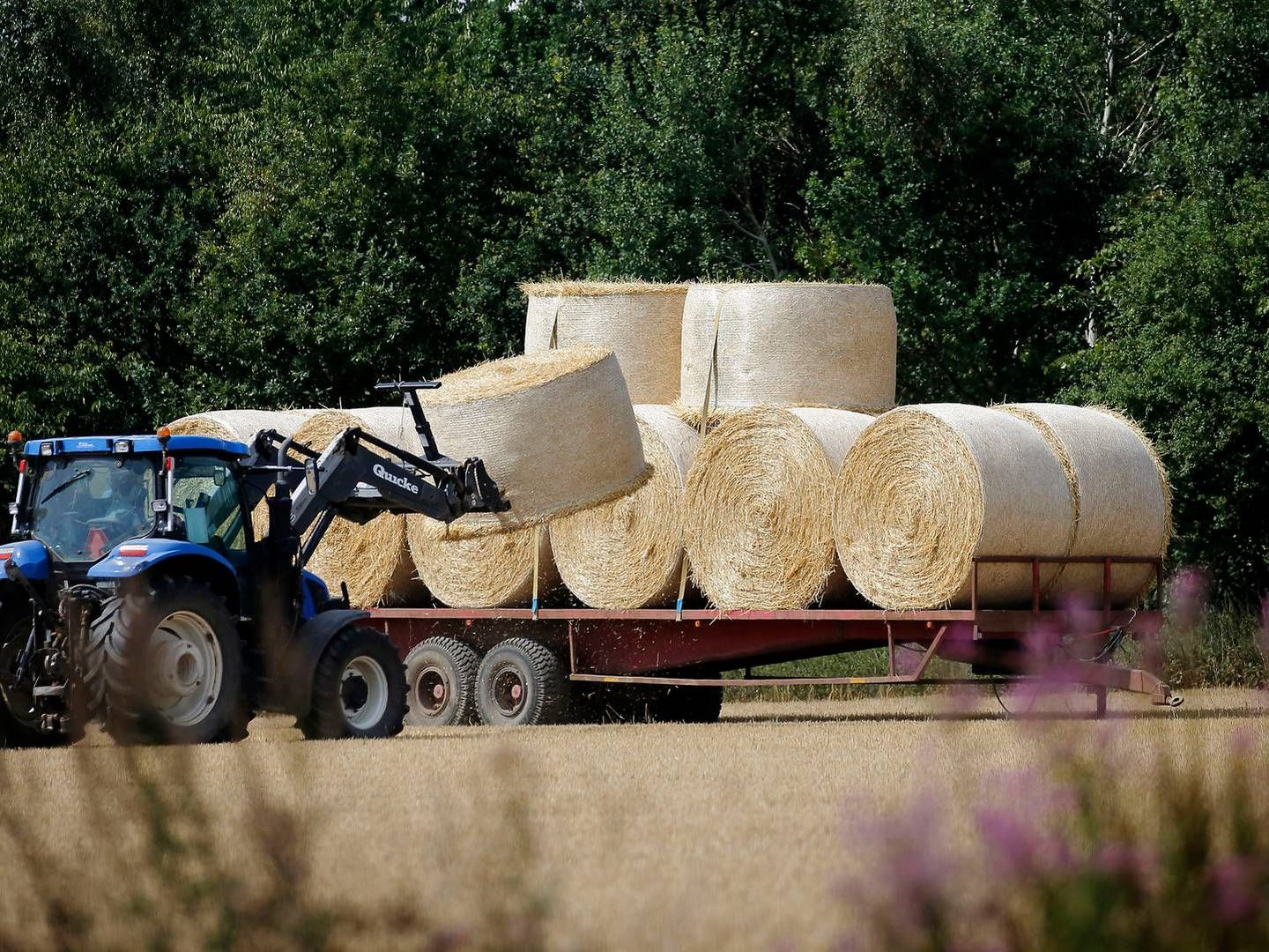 Foto: Jens Dresling/Ritzau Scanpix