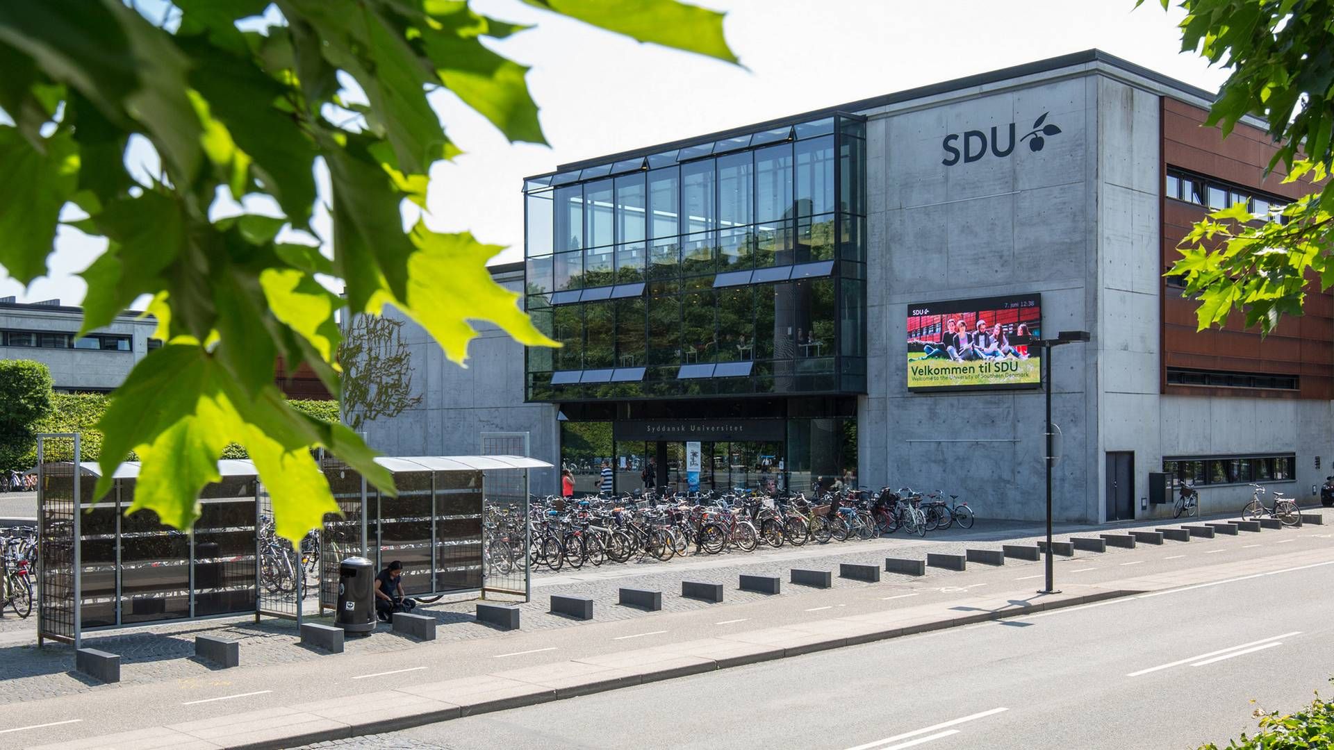 Juridisk Institut på Syddansk Universitet får ny leder. | Foto: SDU / PR