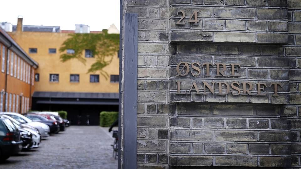 Britta Nielsen blev sidste år dømt for at have overført cirka 117 millioner kroner til sig selv fra Socialstyrelsen, hvor hun arbejdede | Foto: Jens Dresling
